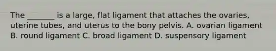 The _______ is a large, flat ligament that attaches the ovaries, uterine tubes, and uterus to the bony pelvis. A. ovarian ligament B. round ligament C. broad ligament D. suspensory ligament