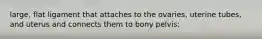 large, flat ligament that attaches to the ovaries, uterine tubes, and uterus and connects them to bony pelvis: