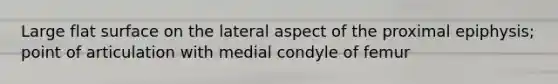 Large flat surface on the lateral aspect of the proximal epiphysis; point of articulation with medial condyle of femur