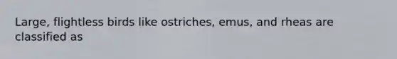 Large, flightless birds like ostriches, emus, and rheas are classified as