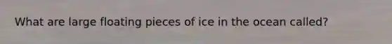 What are large floating pieces of ice in the ocean called?