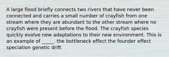 A large flood briefly connects two rivers that have never been connected and carries a small number of crayfish from one stream where they are abundant to the other stream where no crayfish were present before the flood. The crayfish species quickly evolve new adaptations to their new environment. This is an example of _____. the bottleneck effect the founder effect speciation genetic drift