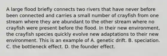 A large flood briefly connects two rivers that have never before been connected and carries a small number of crayfish from one stream where they are abundant to the other stream where no crayfish were present before the flood. In their new environment, the crayfish species quickly evolve new adaptations to their new environment. This is an example of A. genetic drift. B. speciation. C. the bottleneck effect. D. the founder effect.