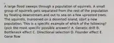 A large flood sweeps through a population of squirrels. A small group of squirrels gets separated from the rest of the population by floating downstream and out to sea on a few uprooted trees. The squirrels, marooned on a deserted island, start a new population. This is a specific example of which of the following? (pick the most specific possible answer)? A. Genetic drift B. Bottleneck effect C. Directional selection D. Founder effect E. Gene flow