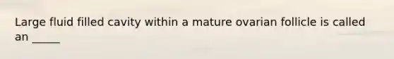 Large fluid filled cavity within a mature ovarian follicle is called an _____