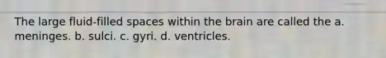 The large fluid-filled spaces within the brain are called the a. meninges. b. sulci. c. gyri. d. ventricles.