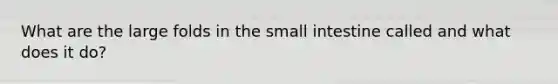 What are the large folds in the small intestine called and what does it do?