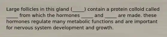 Large follicles in this gland (_____) contain a protein colloid called _____ from which the hormones _____ and _____ are made. these hormones regulate many metabolic functions and are important for nervous system development and growth.