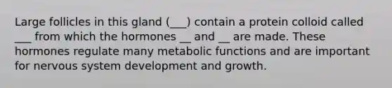 Large follicles in this gland (___) contain a protein colloid called ___ from which the hormones __ and __ are made. These hormones regulate many metabolic functions and are important for nervous system development and growth.