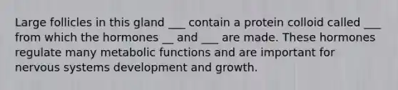 Large follicles in this gland ___ contain a protein colloid called ___ from which the hormones __ and ___ are made. These hormones regulate many metabolic functions and are important for nervous systems development and growth.