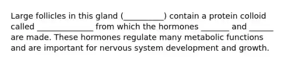 Large follicles in this gland (__________) contain a protein colloid called ______________ from which the hormones _______ and ______ are made. These hormones regulate many metabolic functions and are important for nervous system development and growth.