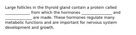 Large follicles in the thyroid gland contain a protein called _____________ from which the hormones ________________ and ______________ are made. These hormones regulate many metabolic functions and are important for nervous system development and growth.