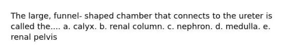 The large, funnel- shaped chamber that connects to the ureter is called the.... a. calyx. b. renal column. c. nephron. d. medulla. e. renal pelvis