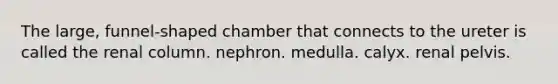 The large, funnel-shaped chamber that connects to the ureter is called the renal column. nephron. medulla. calyx. renal pelvis.