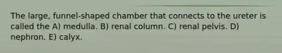 The large, funnel-shaped chamber that connects to the ureter is called the A) medulla. B) renal column. C) renal pelvis. D) nephron. E) calyx.