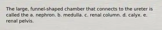 The large, funnel-shaped chamber that connects to the ureter is called the a. nephron. b. medulla. c. renal column. d. calyx. e. renal pelvis.