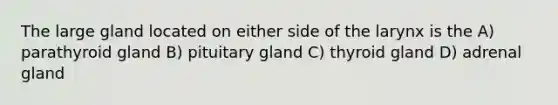 The large gland located on either side of the larynx is the A) parathyroid gland B) pituitary gland C) thyroid gland D) adrenal gland