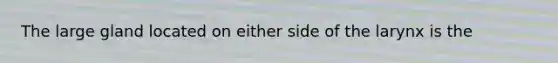 The large gland located on either side of the larynx is the