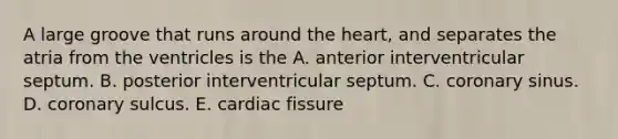 A large groove that runs around the heart, and separates the atria from the ventricles is the A. anterior interventricular septum. B. posterior interventricular septum. C. coronary sinus. D. coronary sulcus. E. cardiac fissure