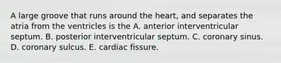 A large groove that runs around the heart, and separates the atria from the ventricles is the A. anterior interventricular septum. B. posterior interventricular septum. C. coronary sinus. D. coronary sulcus. E. cardiac fissure.