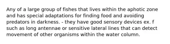 Any of a large group of fishes that lives within the aphotic zone and has special adaptations for finding food and avoiding predators in darkness. - they have good sensory devices ex. f such as long antennae or sensitive lateral lines that can detect movement of other organisms within the water column.