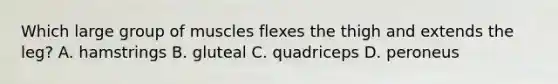 Which large group of muscles flexes the thigh and extends the leg? A. hamstrings B. gluteal C. quadriceps D. peroneus