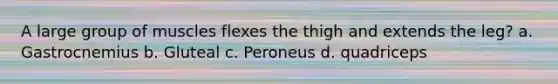 A large group of muscles flexes the thigh and extends the leg? a. Gastrocnemius b. Gluteal c. Peroneus d. quadriceps