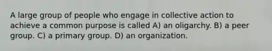 A large group of people who engage in collective action to achieve a common purpose is called A) an oligarchy. B) a peer group. C) a primary group. D) an organization.