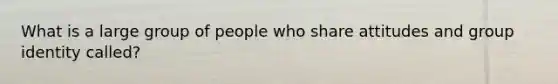 What is a large group of people who share attitudes and group identity called?