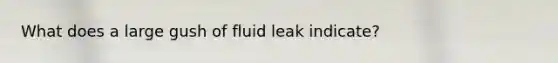 What does a large gush of fluid leak indicate?