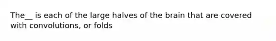 The__ is each of the large halves of the brain that are covered with convolutions, or folds