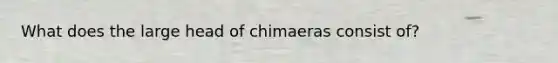 What does the large head of chimaeras consist of?