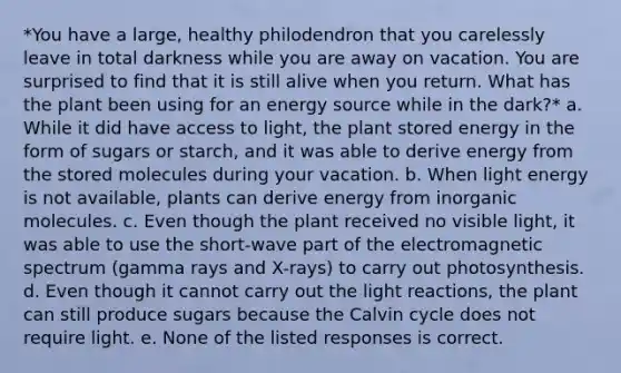 *You have a large, healthy philodendron that you carelessly leave in total darkness while you are away on vacation. You are surprised to find that it is still alive when you return. What has the plant been using for an energy source while in the dark?* a. While it did have access to light, the plant stored energy in the form of sugars or starch, and it was able to derive energy from the stored molecules during your vacation. b. When light energy is not available, plants can derive energy from inorganic molecules. c. Even though the plant received no visible light, it was able to use the short-wave part of the electromagnetic spectrum (gamma rays and X-rays) to carry out photosynthesis. d. Even though it cannot carry out the light reactions, the plant can still produce sugars because the Calvin cycle does not require light. e. None of the listed responses is correct.