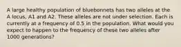 A large healthy population of bluebonnets has two alleles at the A locus, A1 and A2. These alleles are not under selection. Each is currently at a frequency of 0.5 in the population. What would you expect to happen to the frequency of these two alleles after 1000 generations?