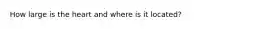 How large is the heart and where is it located?