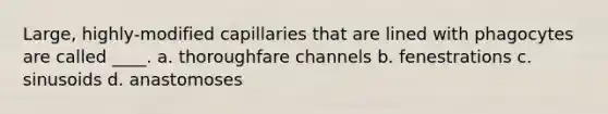 Large, highly-modified capillaries that are lined with phagocytes are called ____. a. thoroughfare channels b. fenestrations c. sinusoids d. anastomoses
