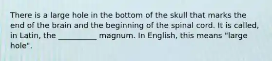 There is a large hole in the bottom of the skull that marks the end of the brain and the beginning of the spinal cord. It is called, in Latin, the __________ magnum. In English, this means "large hole".