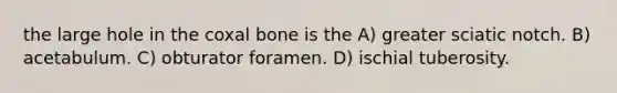 the large hole in the coxal bone is the A) greater sciatic notch. B) acetabulum. C) obturator foramen. D) ischial tuberosity.