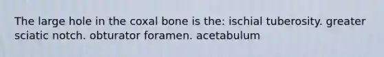 The large hole in the coxal bone is the: ischial tuberosity. greater sciatic notch. obturator foramen. acetabulum