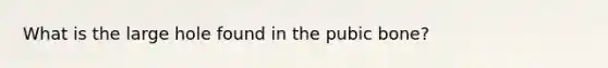 What is the large hole found in the pubic bone?