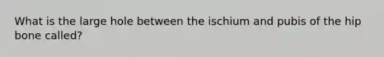 What is the large hole between the ischium and pubis of the hip bone called?