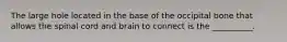 The large hole located in the base of the occipital bone that allows the spinal cord and brain to connect is the __________.