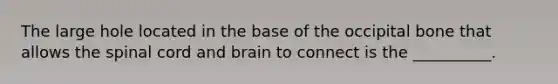 The large hole located in the base of the occipital bone that allows the spinal cord and brain to connect is the __________.