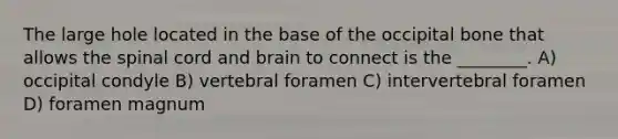 The large hole located in the base of the occipital bone that allows <a href='https://www.questionai.com/knowledge/kkAfzcJHuZ-the-spinal-cord' class='anchor-knowledge'>the spinal cord</a> and brain to connect is the ________. A) occipital condyle B) vertebral foramen C) intervertebral foramen D) foramen magnum