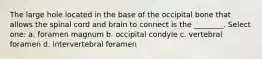 The large hole located in the base of the occipital bone that allows the spinal cord and brain to connect is the ________. Select one: a. foramen magnum b. occipital condyle c. vertebral foramen d. intervertebral foramen