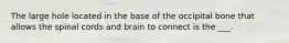 The large hole located in the base of the occipital bone that allows the spinal cords and brain to connect is the ___.