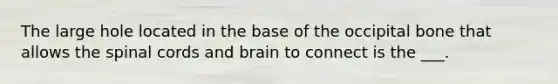 The large hole located in the base of the occipital bone that allows <a href='https://www.questionai.com/knowledge/kkAfzcJHuZ-the-spinal-cord' class='anchor-knowledge'>the spinal cord</a>s and brain to connect is the ___.