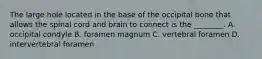 The large hole located in the base of the occipital bone that allows the spinal cord and brain to connect is the ________. A. occipital condyle B. foramen magnum C. vertebral foramen D. intervertebral foramen