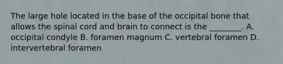 The large hole located in the base of the occipital bone that allows the spinal cord and brain to connect is the ________. A. occipital condyle B. foramen magnum C. vertebral foramen D. intervertebral foramen