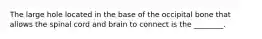The large hole located in the base of the occipital bone that allows the spinal cord and brain to connect is the ________.